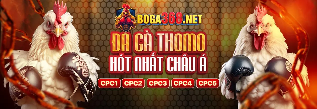 Sân vận động với trận đấu bóng đá sôi động, thể hiện cá cược thể thao BetKing link mới